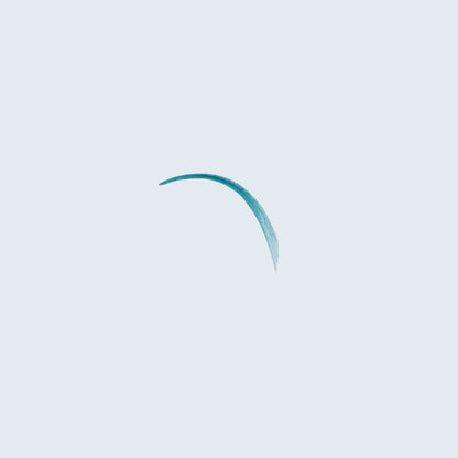 Miss-Dipliner-Turquoise