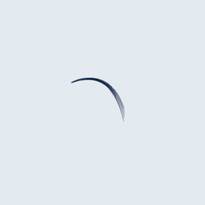 Miss-Dipliner-Navy-Blue