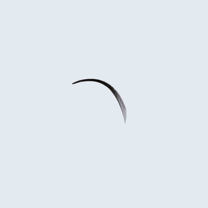 Miss-Dipliner-Black